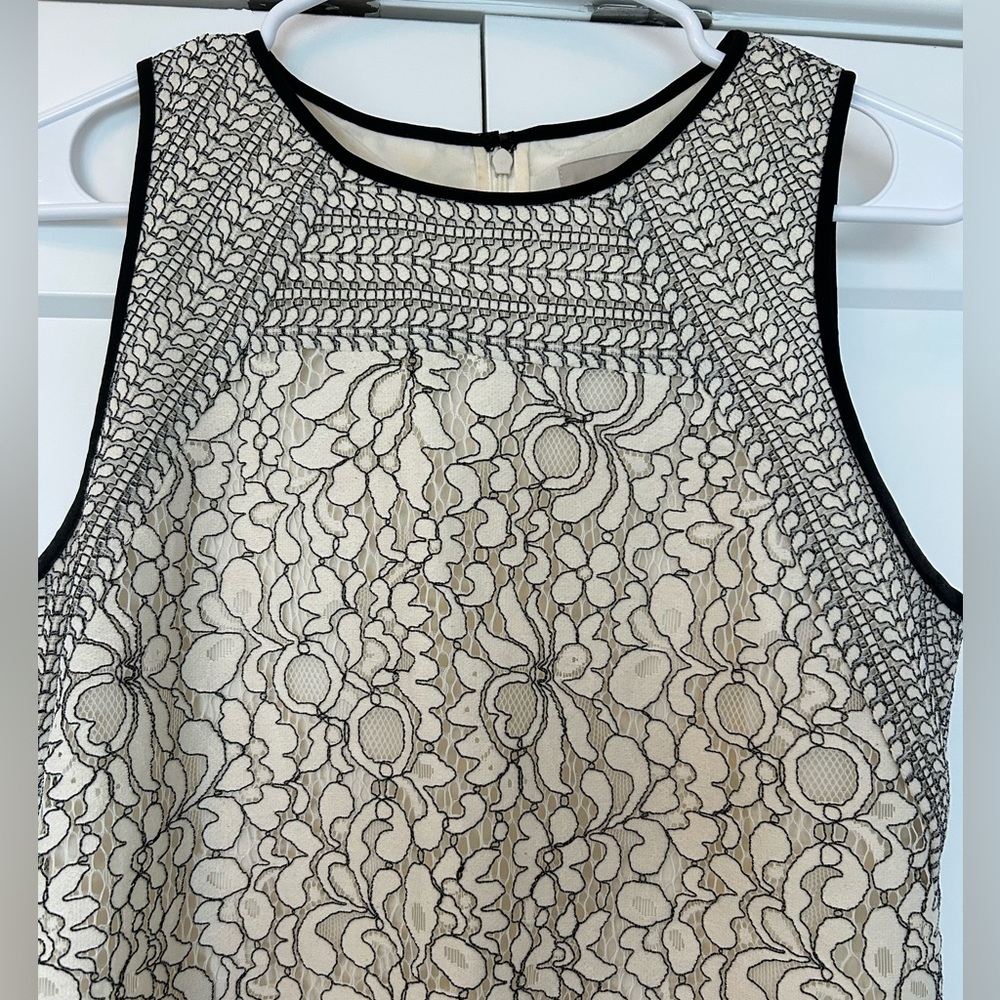 Elegant Lace Sleeveless Dress - Picture 2 of 3